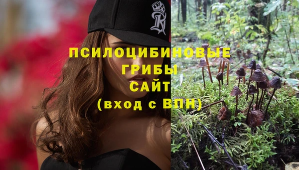 тгк Бородино