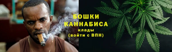 ECSTASY Богданович