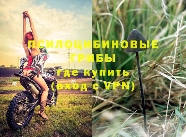 ECSTASY Богданович