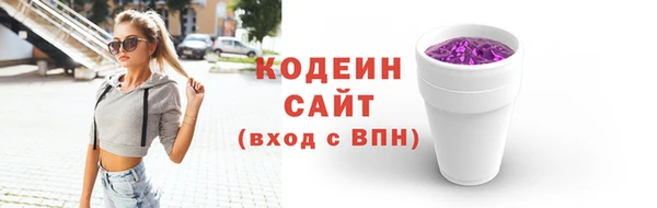 ECSTASY Богданович