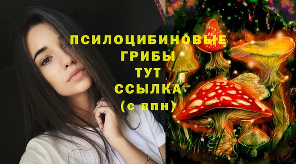 тгк Бородино