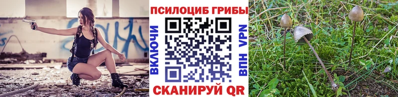 Псилоцибиновые грибы Magic Shrooms Мыски